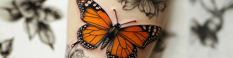 Butterfly transformation Tattoo