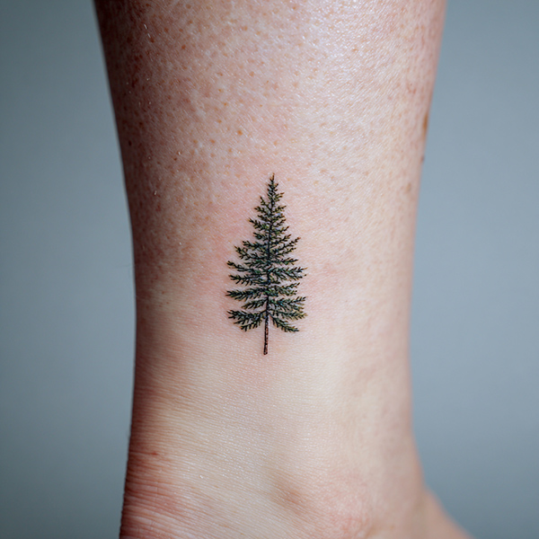 Nature-Inspired Designs